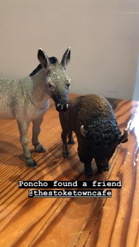 81B92810-664A-4955-A452-650AEC0AC980 2